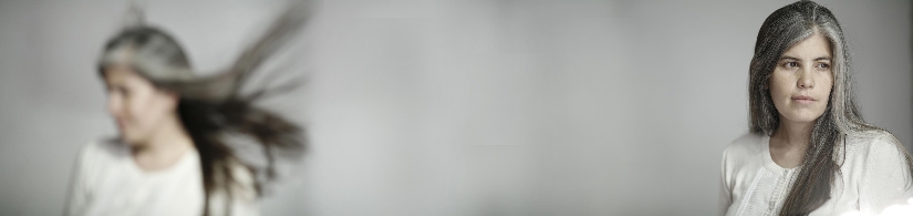 Armado_03.jpg