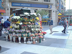 floreria�t�������A�͂��Ԃ̃L�I�X�R