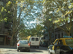 �p�������n��̃C�`���E����