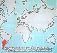 �V���L��