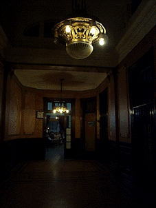 �G���E�K�[�W���̎��G���g�����X