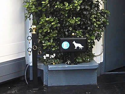 �K�\�����X�^���h�̒��ԂȂ�ʒ�����