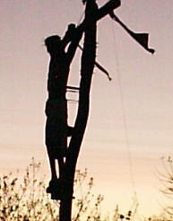 �[�łɉf����n���f�B���E�A�����J�̃L���X�g��