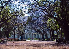 2001�N�̃n�J�����_�̉�