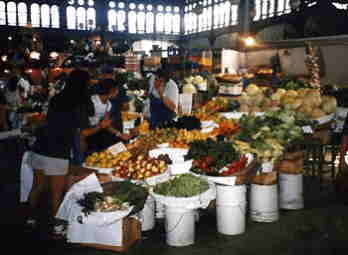 �`���̎�s�T���e�B�A�S�̎s���