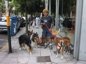 ����̐E�ƁH�I���̎U���₳��