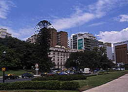 ���R���^�n��̃p���i��