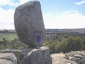 �^���f�B���̋����